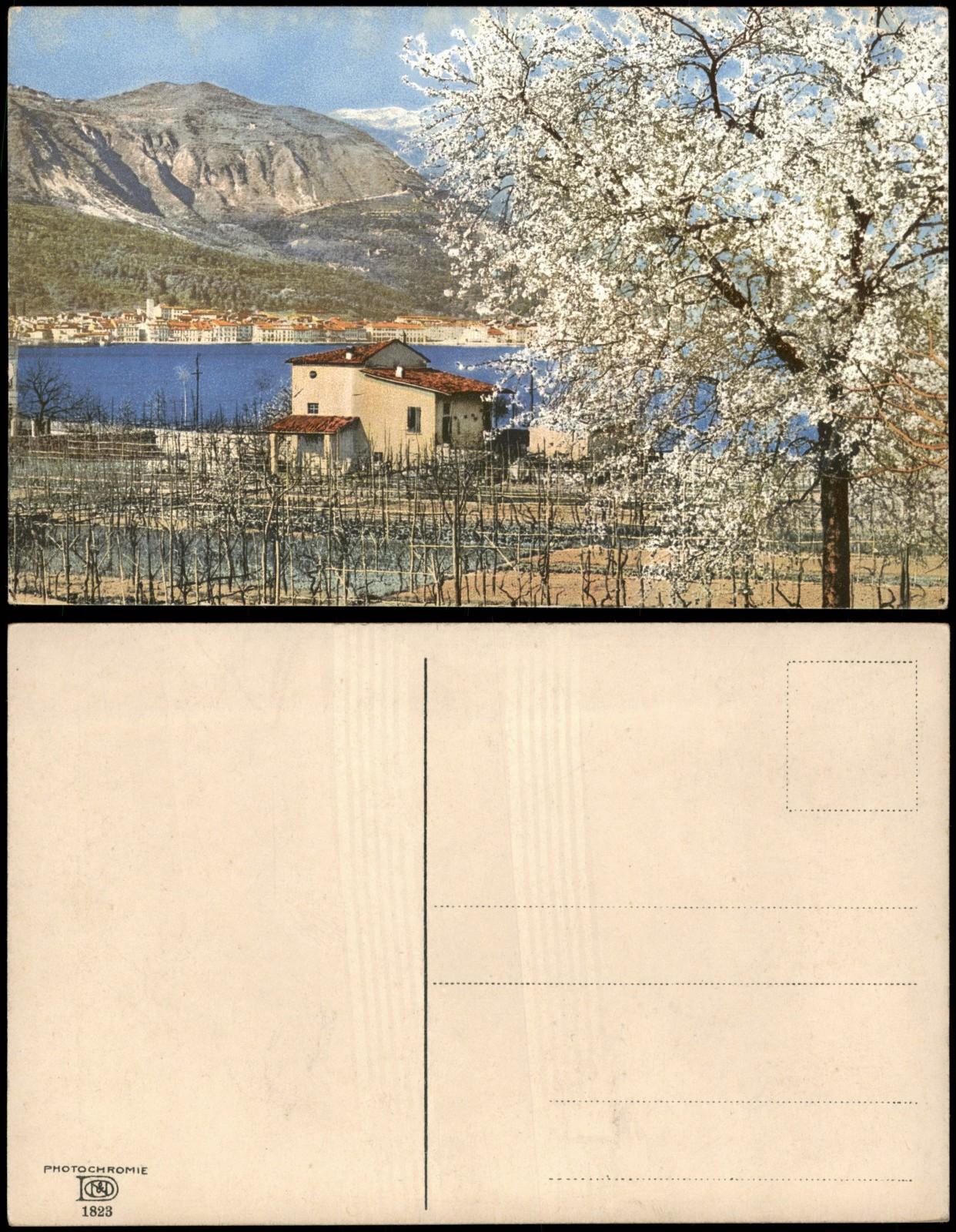 Postcard mood picture: place in Italy tree blossom photochromy 1912